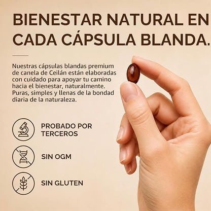Cápsulas blandas de canela de Ceilán
